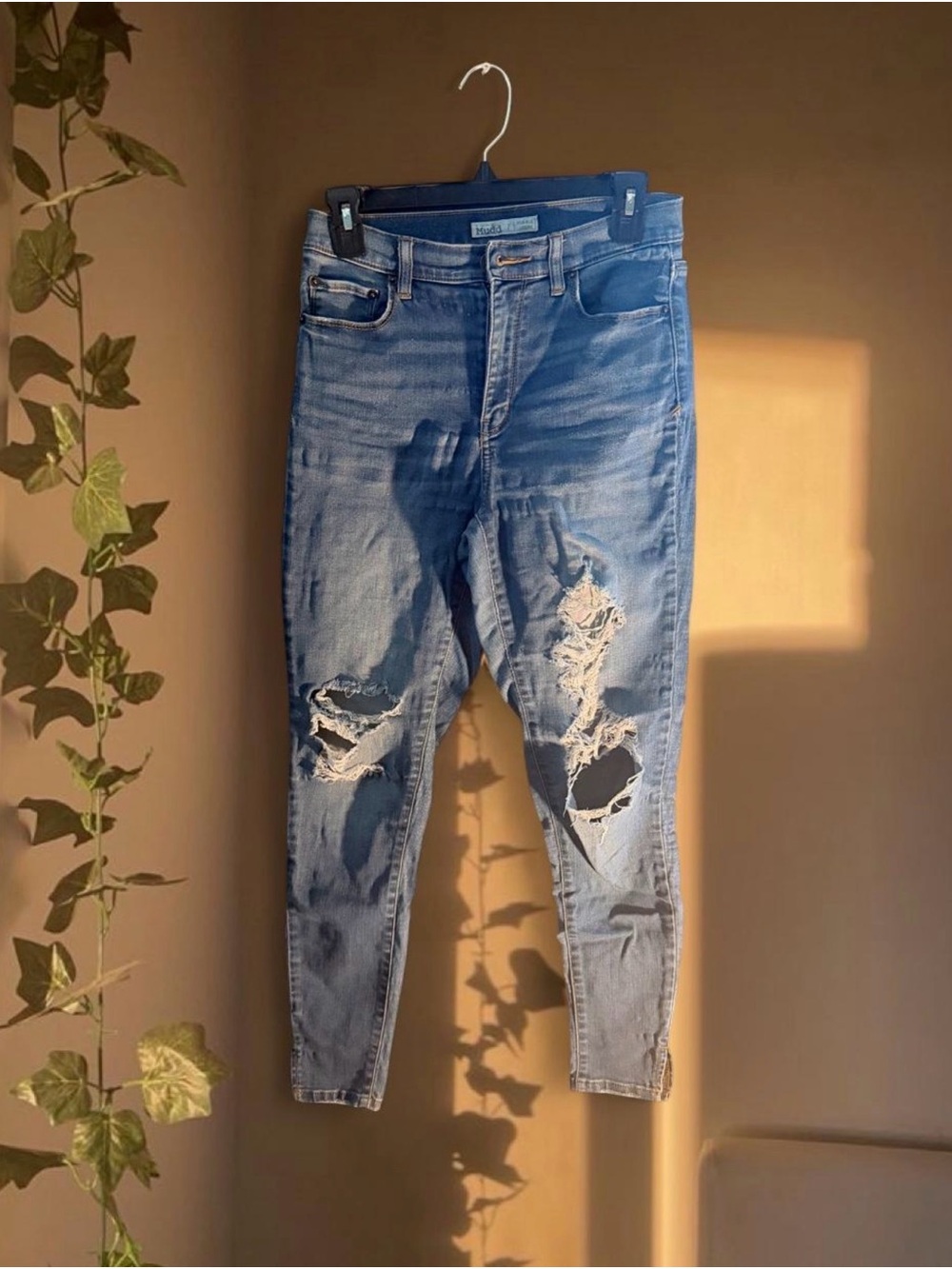 Light Blue Distressed Skinny Jeans